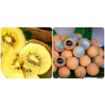 Bạn nên ăn những loại trái cây nào vào buổi tối?