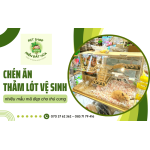 Chén ăn, thảm lót vệ sinh cho thú cưng tại Miền Đất Hứa - Mua ngay nhận giá tốt