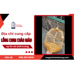  Tô Tài Năng - Địa chỉ cung cấp lồng chim chào mào uy tín và chất lượng