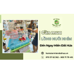 Lồng nuôi nhím giá rẻ nhưng chất lượng - Mua ngay tại Miền Đất Hứa 