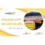 Nhà phân phối bia hơi Hà Nội Tại Miền Nam - Cần tìm đại lý