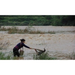 Nhặt được “viên gạch lạ” ở bờ sông, bà lão mất toi hơn 20 tỷ bởi hành động này