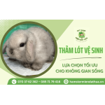 Thảm lót vệ sinh – Lựa chọn tối ưu cho không gian sống của thú cưng