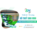 Thiết kế và thi công hồ thủy sinh mini đẹp, tối ưu không gian