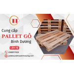 Tìm mua pallet Bình Dương? Liên hệ ngay Tiến Phát
