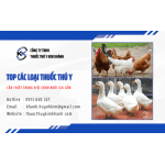 Top các loại thuốc thú y cần thiết trong việc chăn nuôi gia cầm