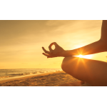 Trạng Thái Tốt Đẹp Của Đời Người Được Gói Gọn Trong Hai Chữ “Tu Dưỡng”