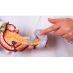 Vai trò của tuyến tụy trong hệ thống nội tiết