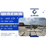 Tìm hiểu về ưu nhược điểm gạch con sâu lát vỉa hè TPHCM