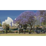 Những điều cần lưu ý khi đi du lịch Australia