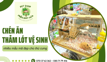 Chén ăn, thảm lót vệ sinh cho thú cưng tại Miền Đất Hứa - Mua ngay nhận giá tốt