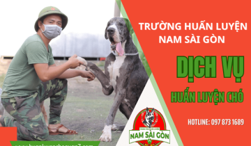 Dịch vụ huấn luyện chó ở trường huấn luyện Nam Sài Gòn có gì?  