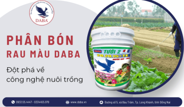 Khám phá các dòng phân bón rau màu DABA đột phá về công nghệ nuôi trồng