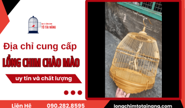  Tô Tài Năng - Địa chỉ cung cấp lồng chim chào mào uy tín và chất lượng