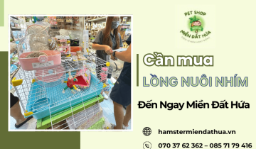 Lồng nuôi nhím giá rẻ nhưng chất lượng - Mua ngay tại Miền Đất Hứa 