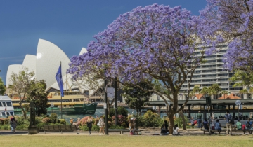 Những điều cần lưu ý khi đi du lịch Australia